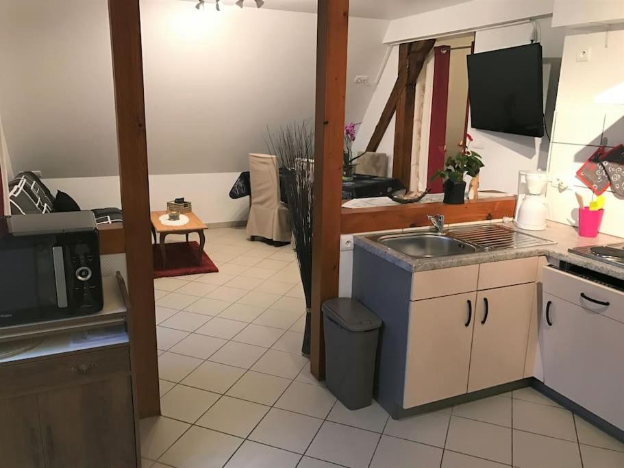 Bel Appartement De Charme De 70 M2 Thannenkirch Exteriér fotografie